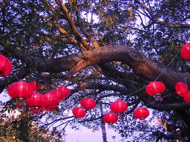  Lantern Festival @ Albert Park